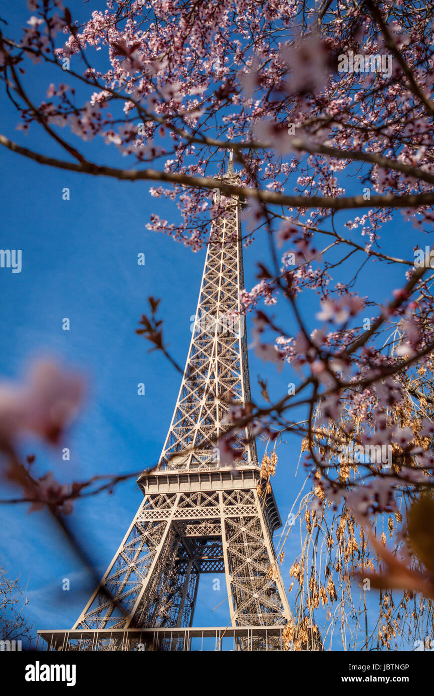 eiffelturm in paris wahrzeichen vor blauem himmel im frühling architektur aussicht Stock Photo