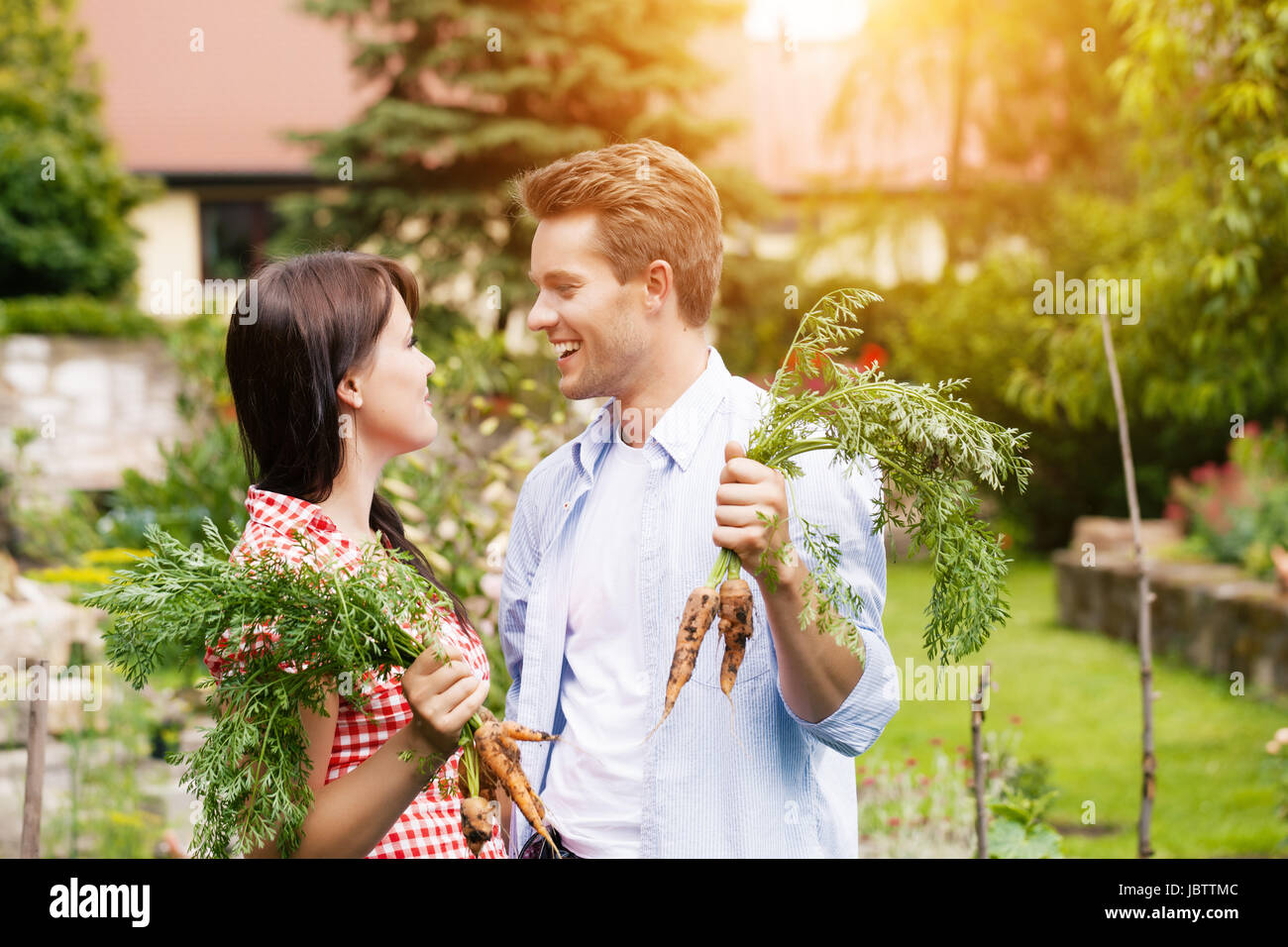 Gardening in summer - happy couple in vegetable garden harvesting carrots and having lots of fun Stock Photo