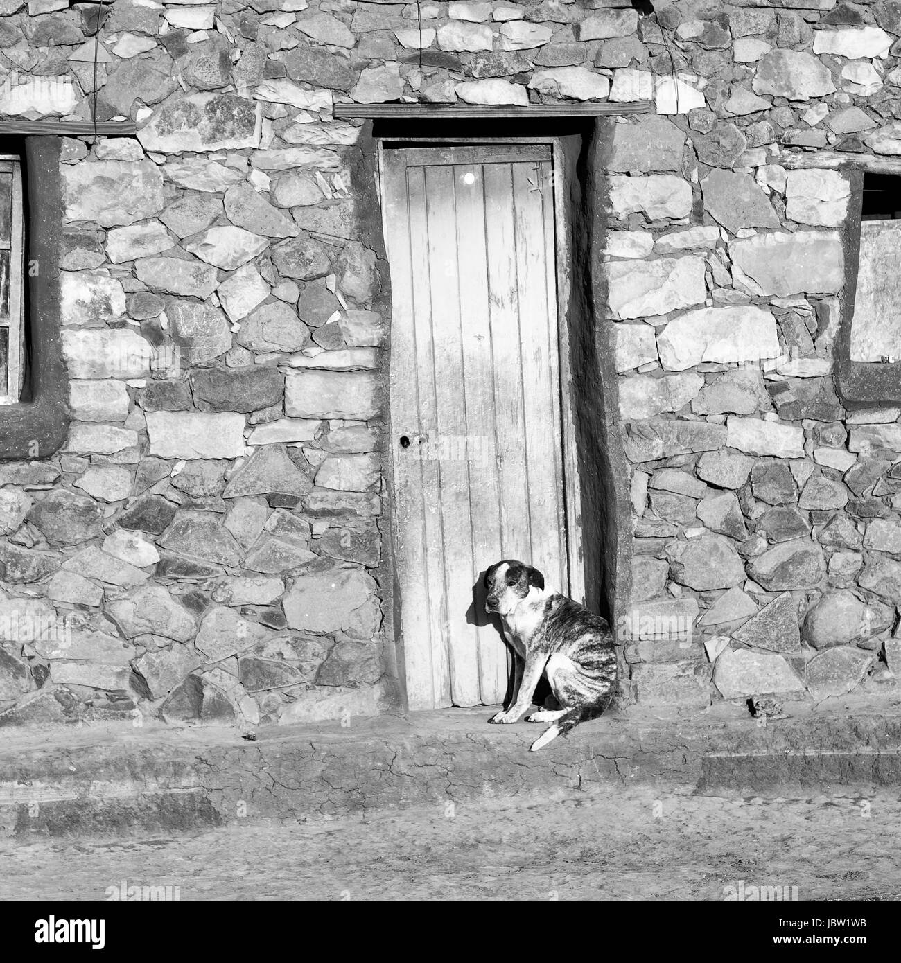 Dog waiting door Black and White Stock Photos & Images Alamy