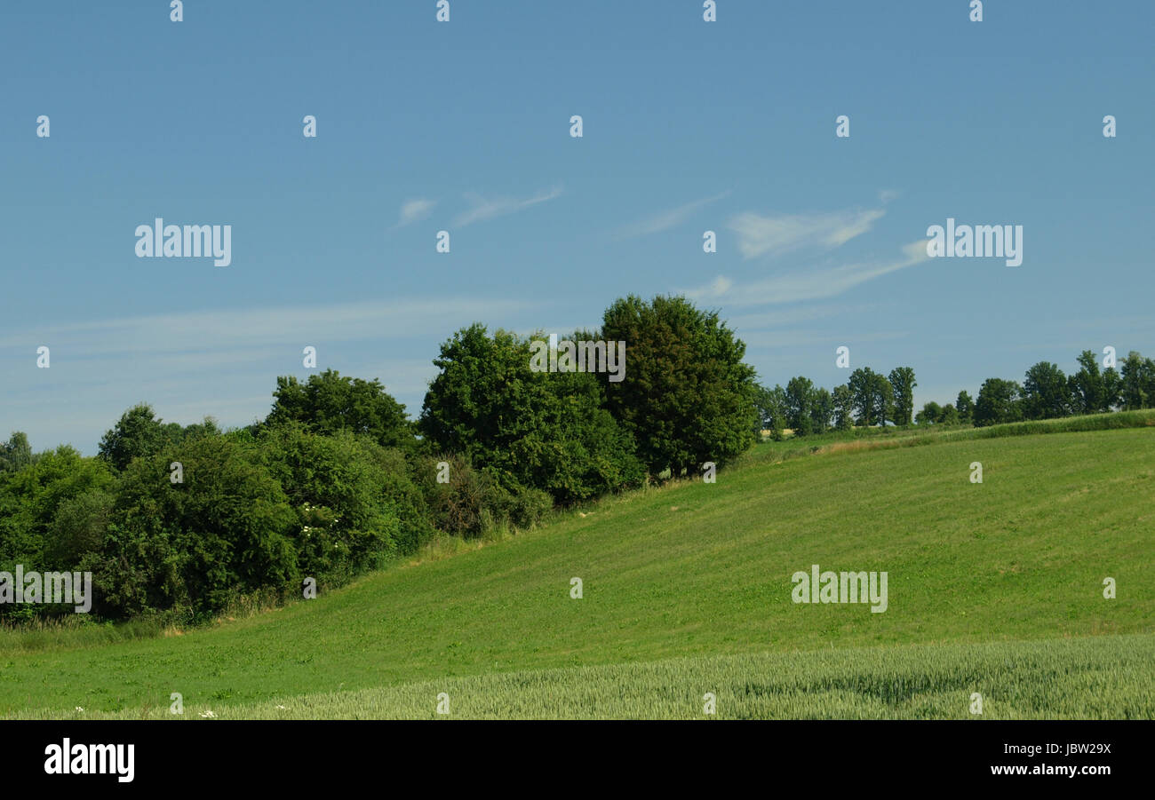 OLYMPUS DIGITAL CAMERA Stock Photo