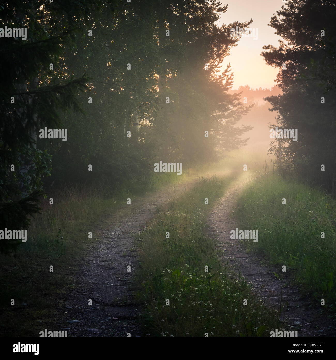 Landscape with idyllic road and fog at summer evening in Finland Stock Photo