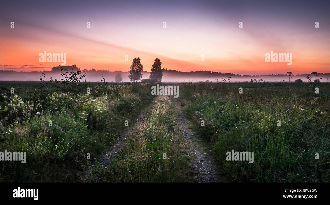 Landscape with idyllic road and fog at summer evening in Finland Stock Photo