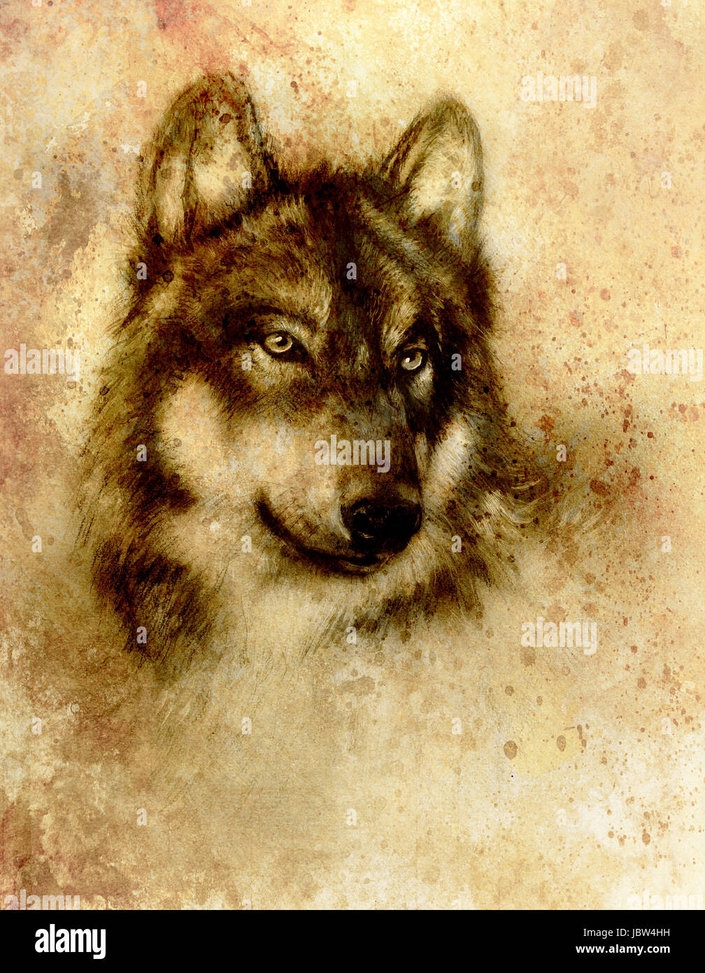 Wolf painting, old paper background and sepia effect. Stock Photo