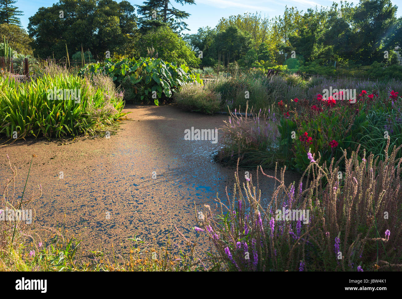 Guilfoyle’s Volcano in the Royal Botanic Gardens in Melbourne. Stock Photo
