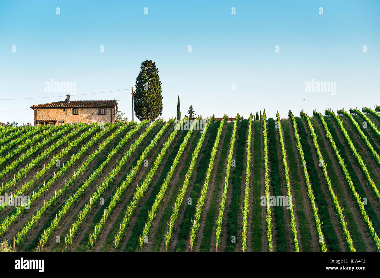 Vineyards in Tuscany. Farm house Stock Photo - Alamy