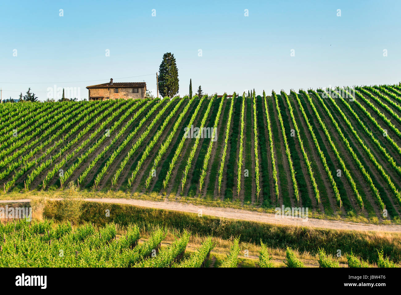 Vineyards in Tuscany. Farm house Stock Photo - Alamy
