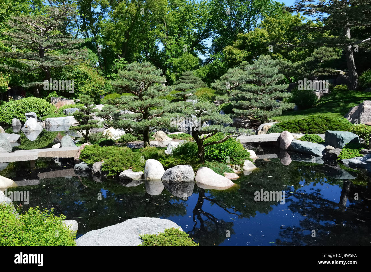 Traditional Japanese water garden with plants, shrubs, rocks and