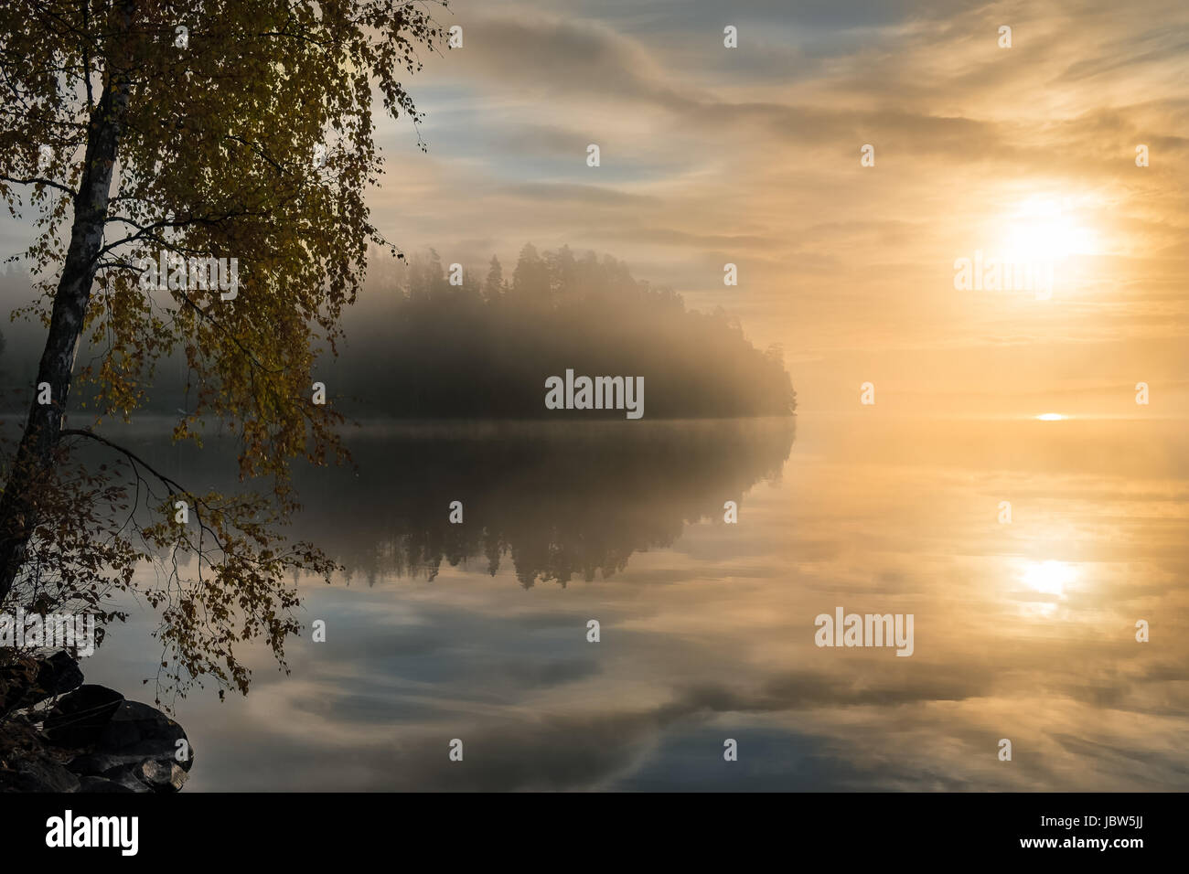 Scenic landscape with pond and fog at autumn morning Stock Photo