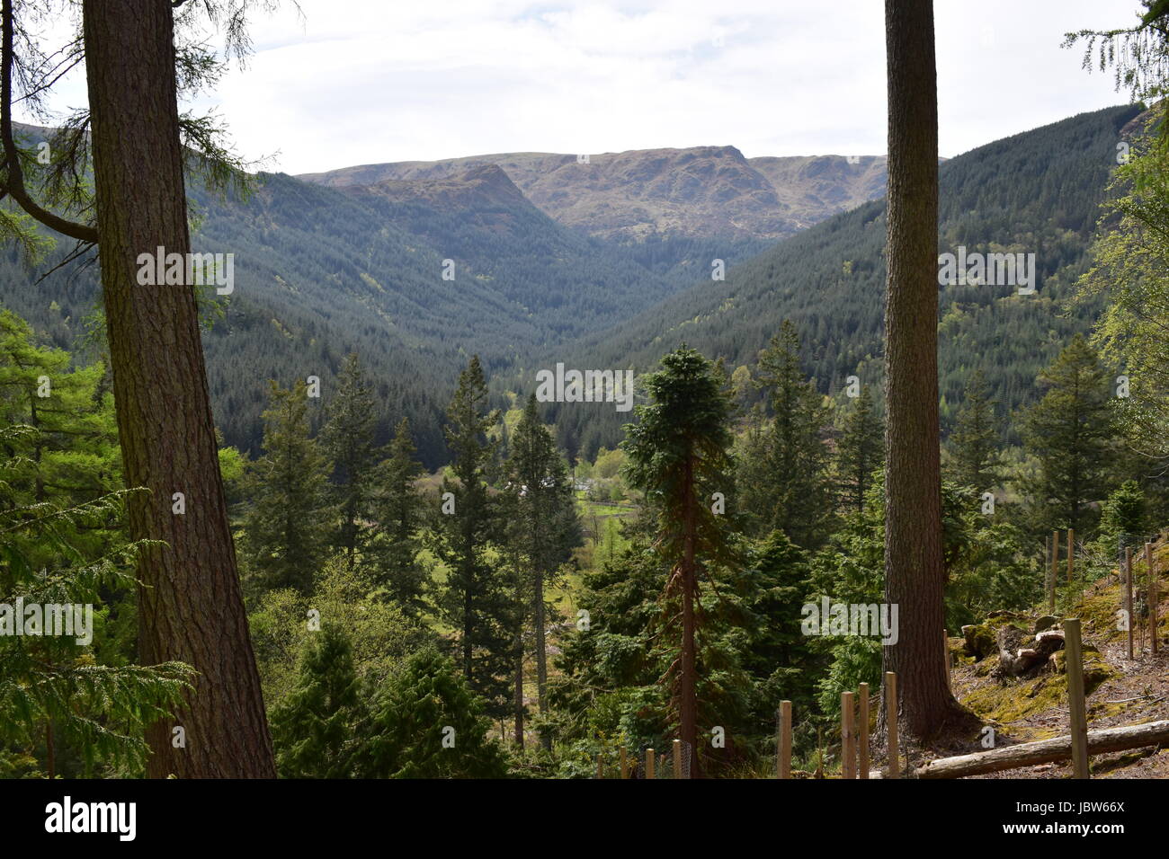 View Over Trees Views of trees hi-res stock photography and images - Alamy
