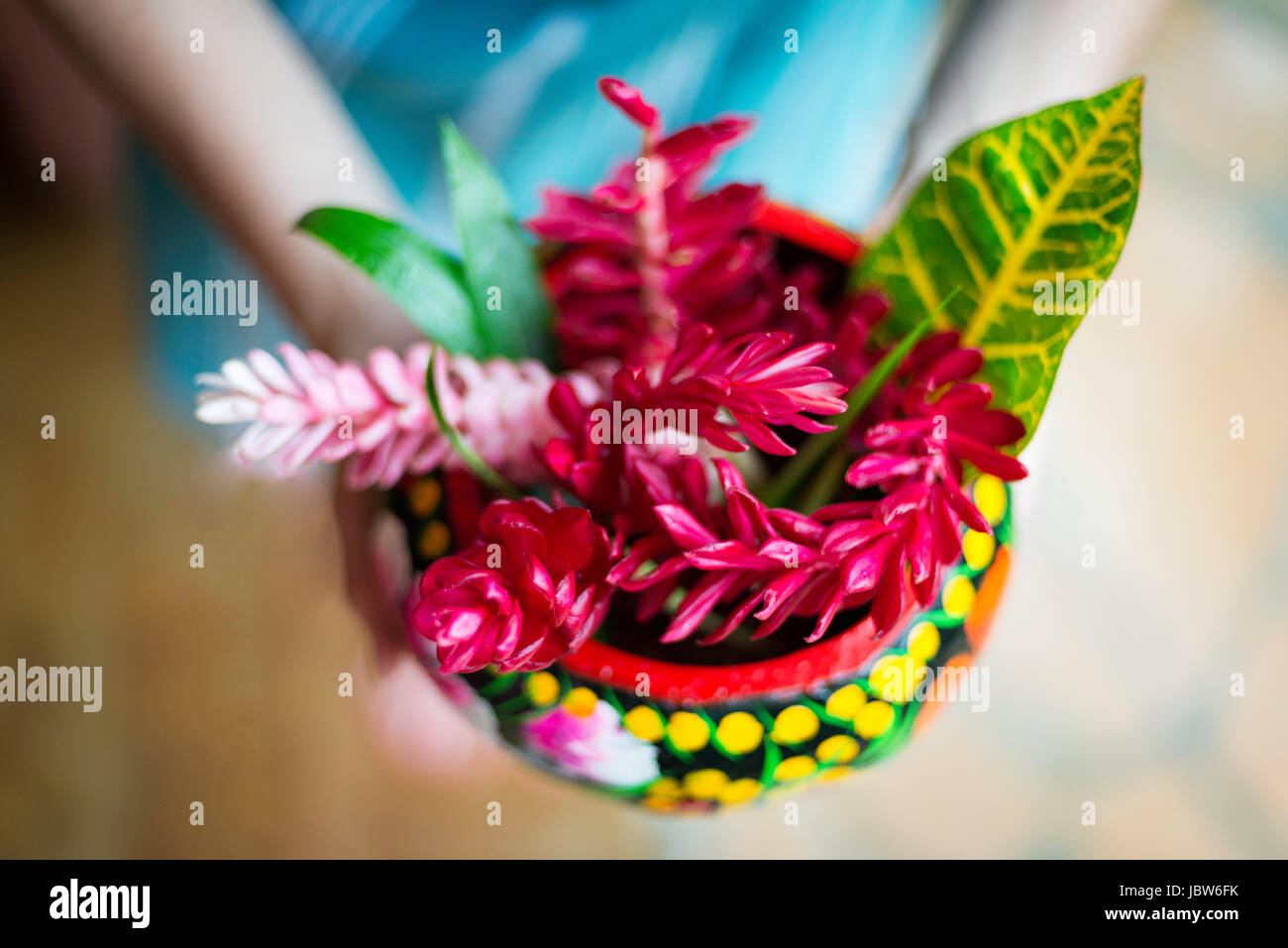 Woman holding bowl of picked flowers, close-up,, Puerto Escondido, Oaxaca, Mexico Stock Photo