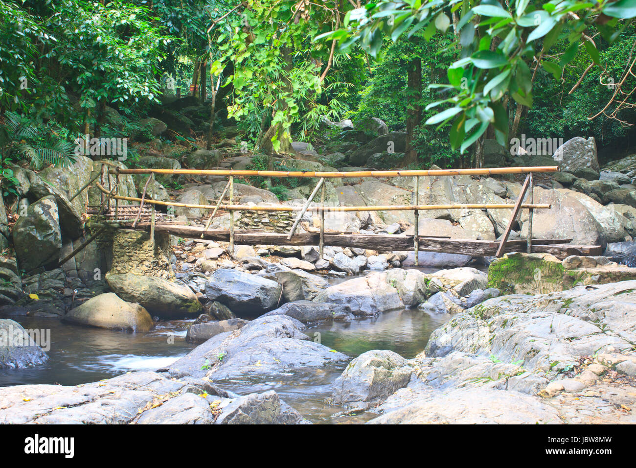 wooden bridge over the stream in the forest Stock Photo - Alamy