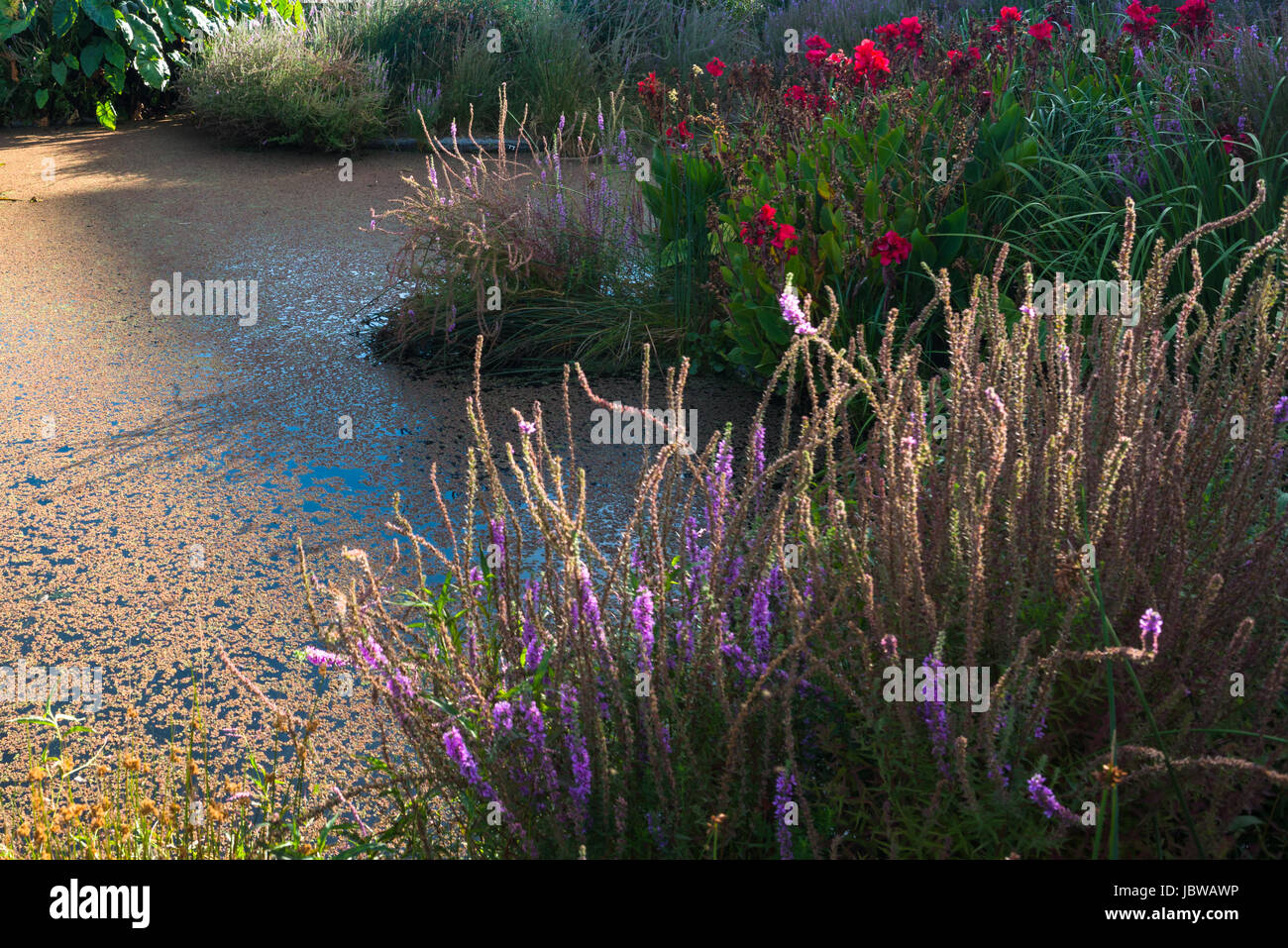 Guilfoyle’s Volcano in the Royal Botanic Gardens in Melbourne. Australia. Stock Photo