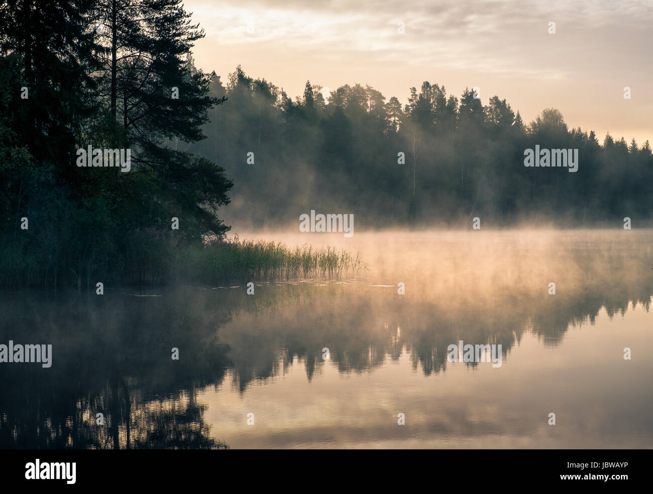 Scenic landscape with lake and sunrise at morning in Finland Stock Photo