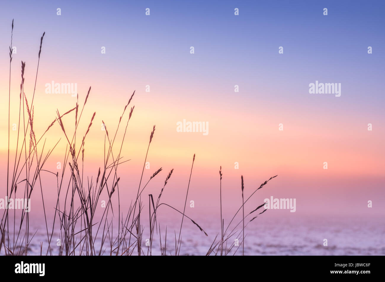 Foggy and colorful sunset with foreground grass at winter evening Stock Photo