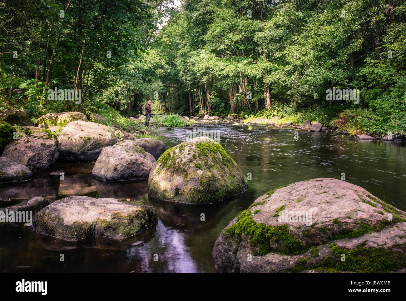 Fisherman fishing at bright summer day in riverside Stock Photo - Alamy