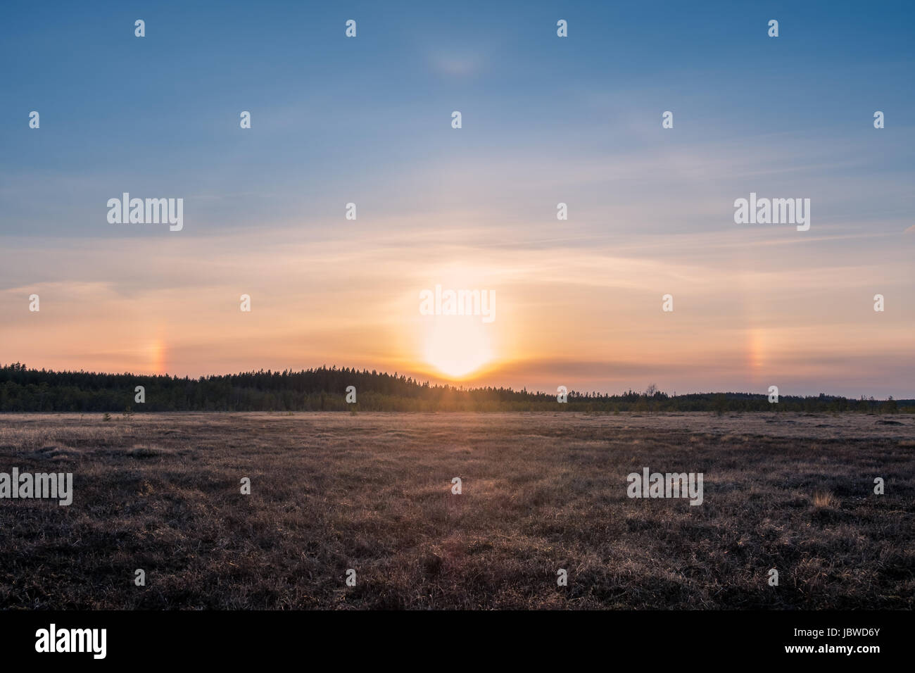 Nice halo light with sunset at spring evening in swamp Finland Stock Photo