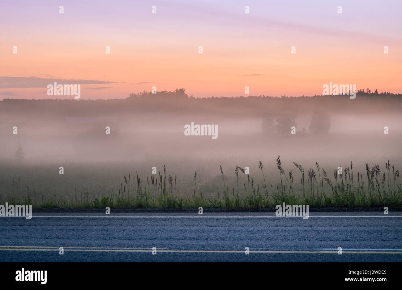 Landscape with mist and fog at summer night in northern Europe Stock Photo
