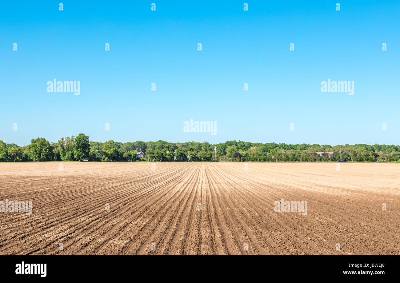 freshly plowed  field with distant trees and brillant blue sky Stock Photo
