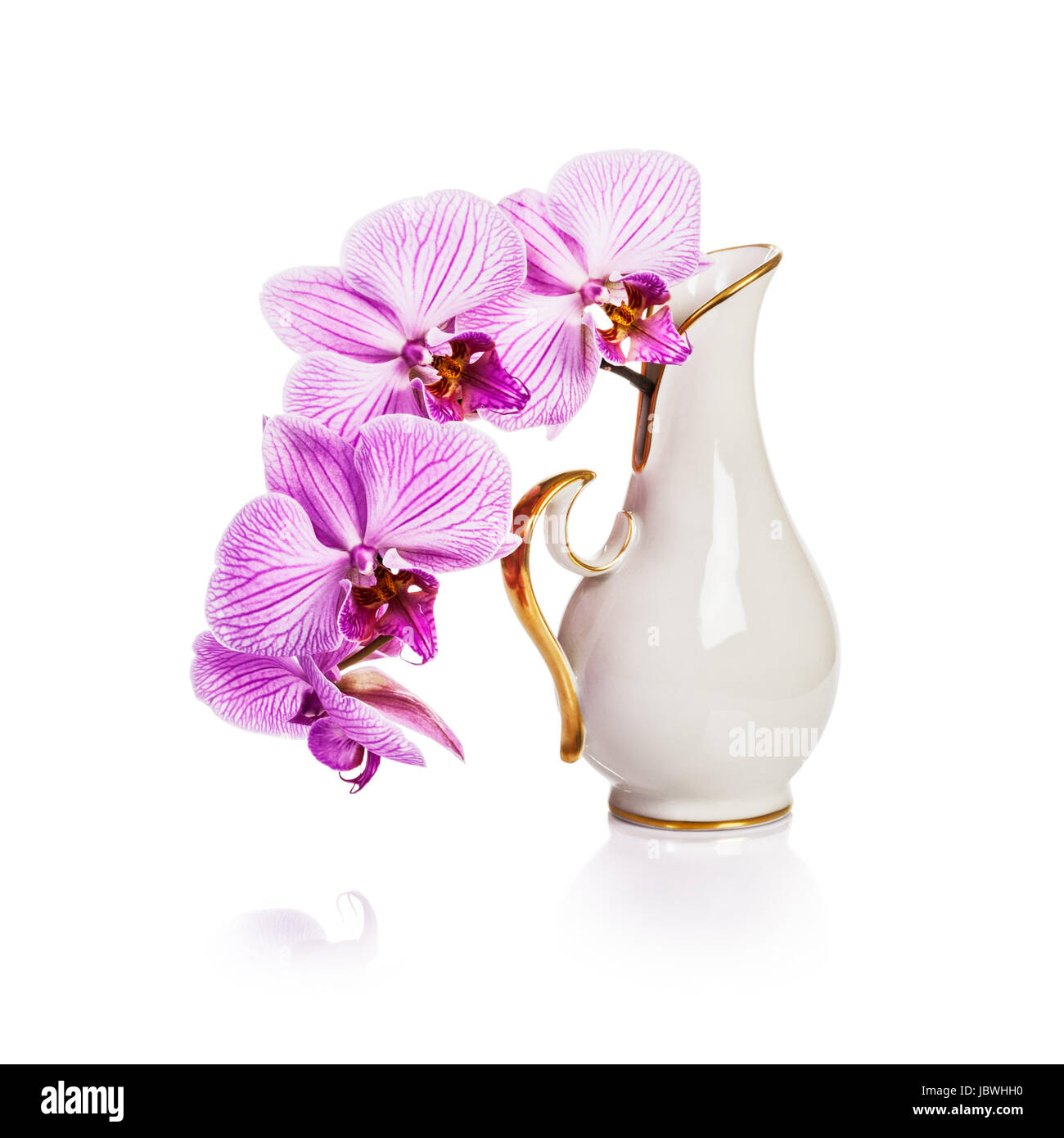 Antique white porcelain vase with pink orchid flowers on white