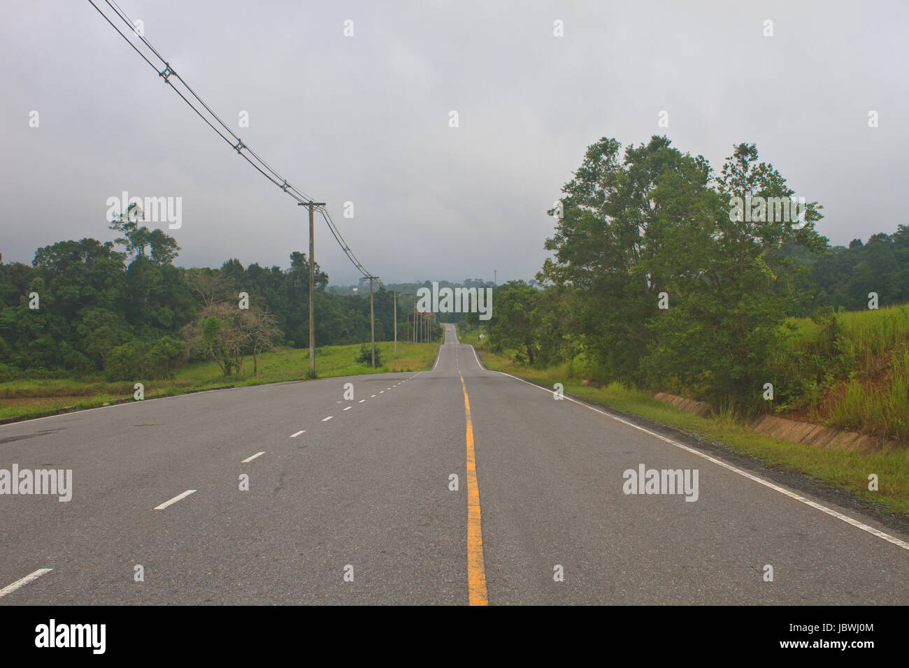 Road in a green forest, national park Stock Photo Alamy