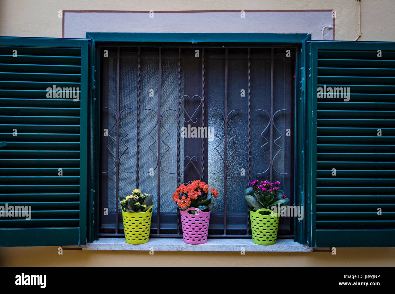Three colourful flower pots in window Stock Photo