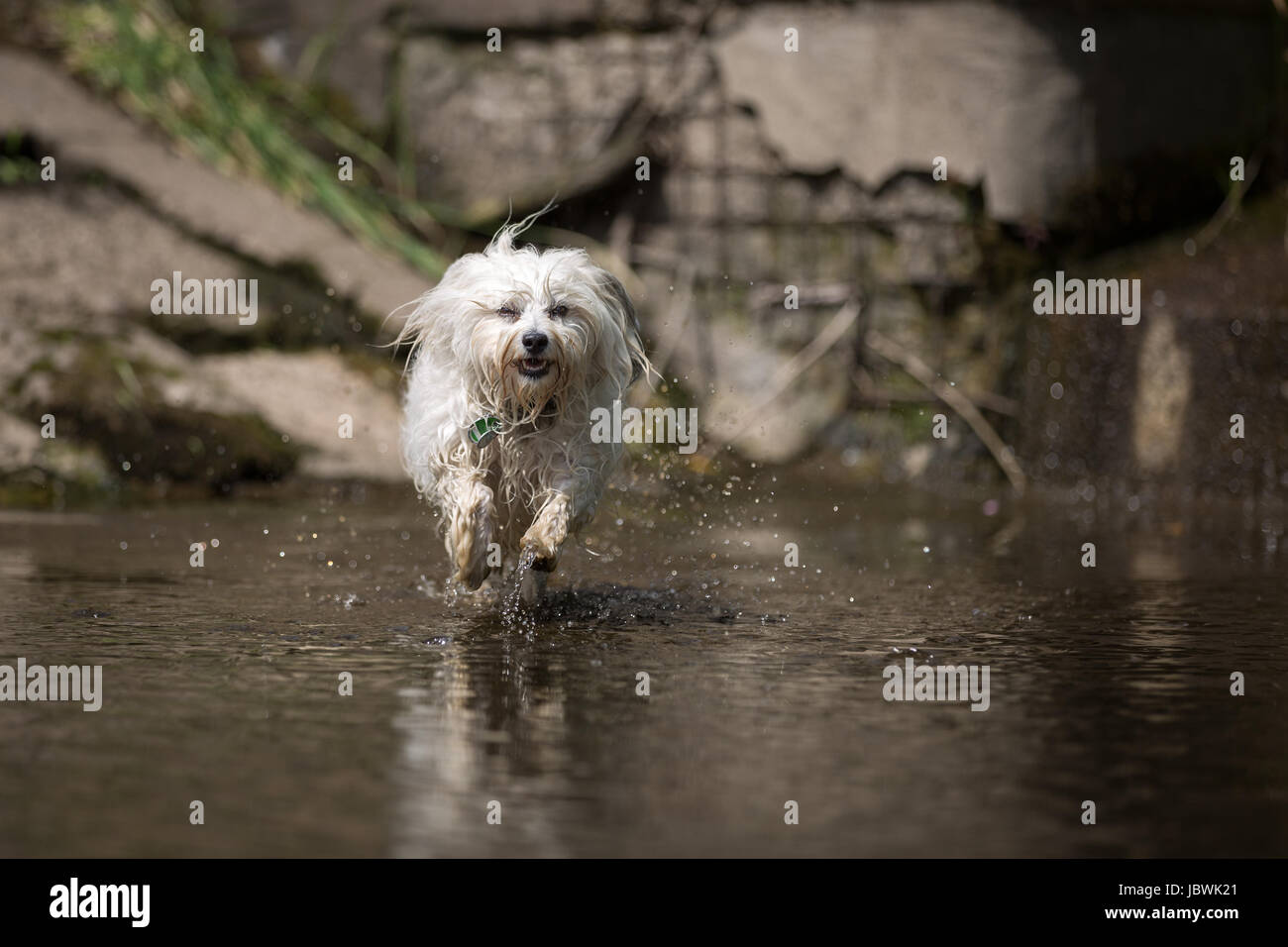 Ganz Links High Resolution Stock Photography and Images - Alamy