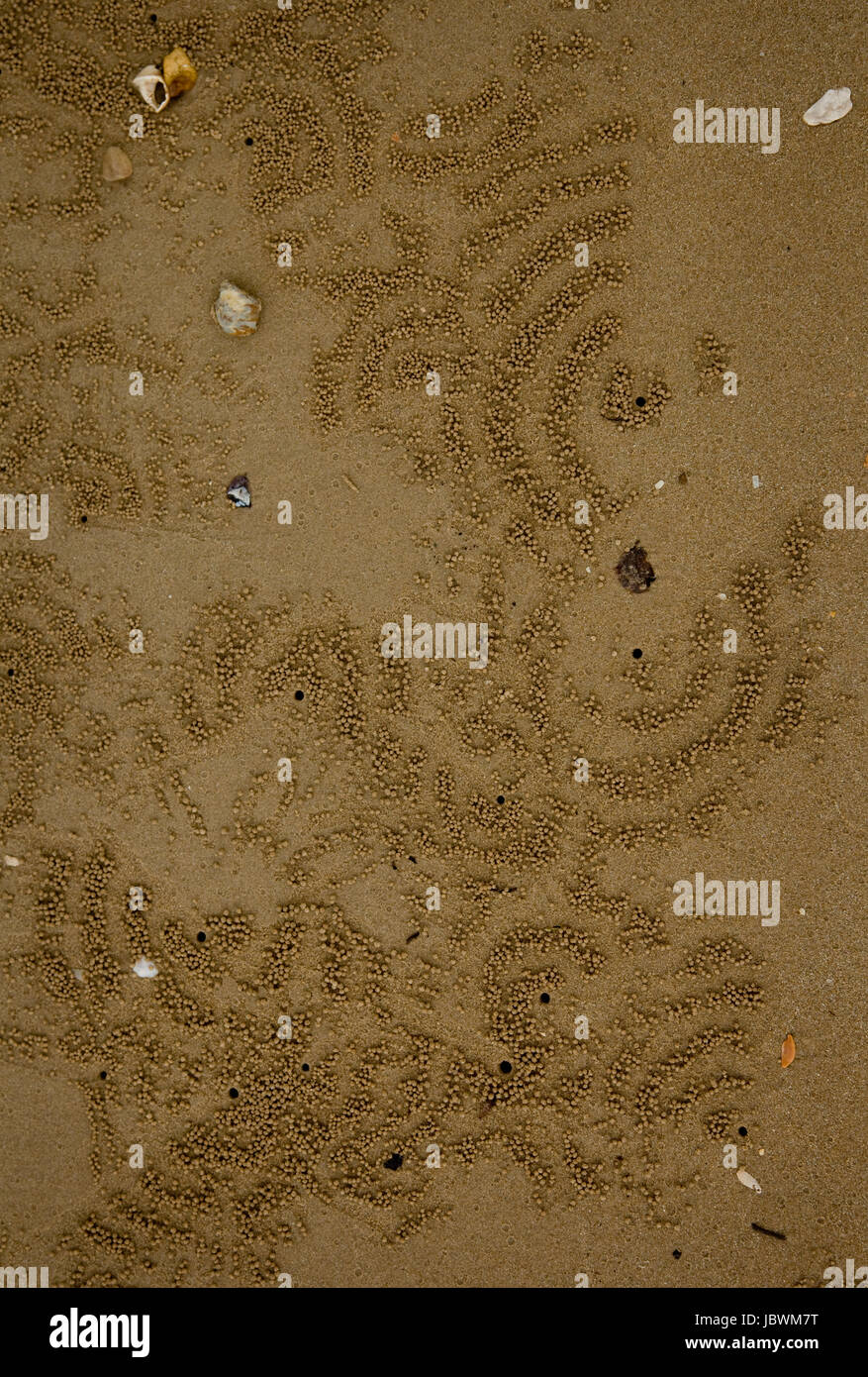Sand pattern , Ao Nang Beach, Thailand Stock Photo