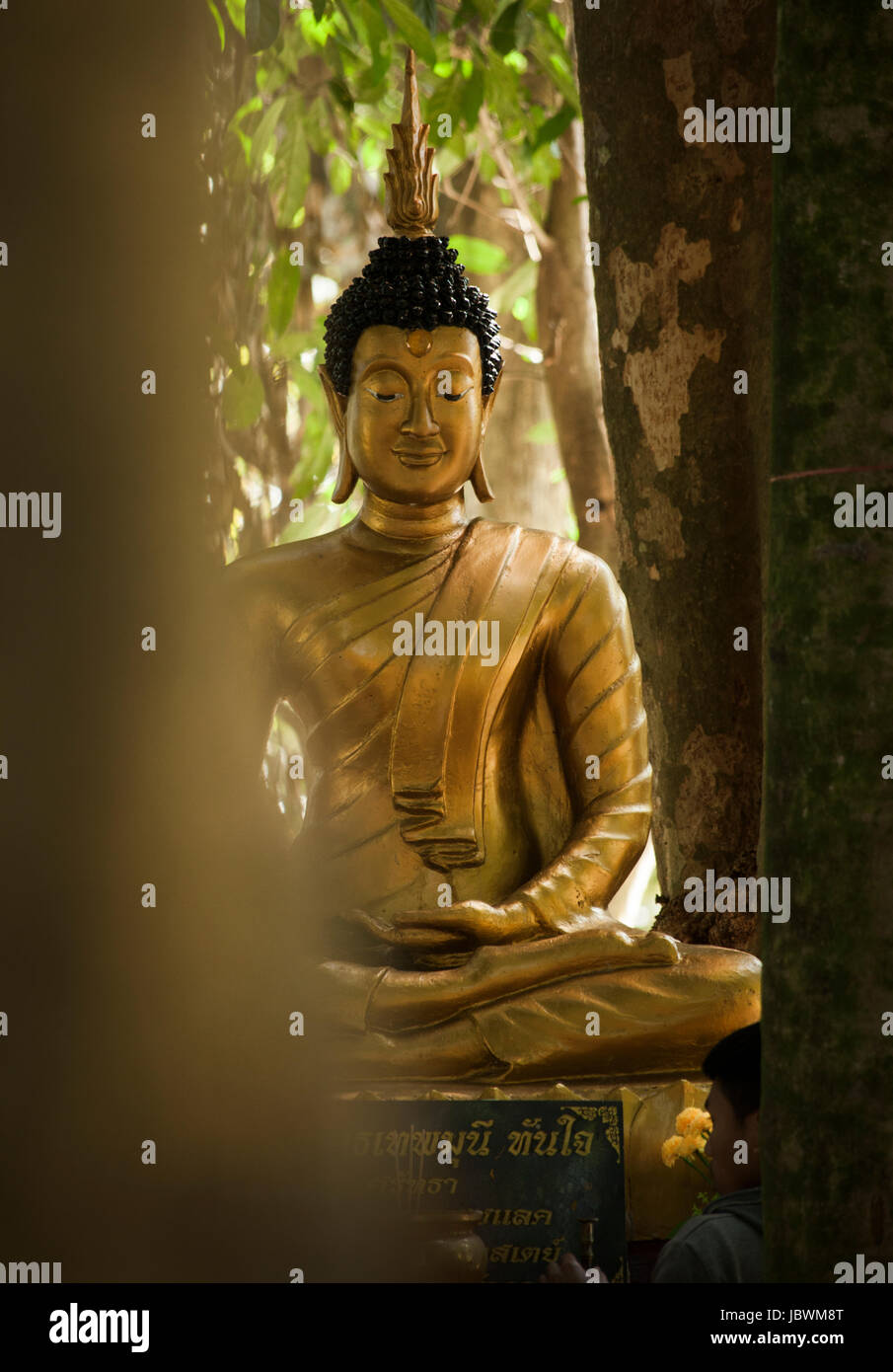Buddha statue in forest monastery, Nan Province, Thailand. Stock Photo