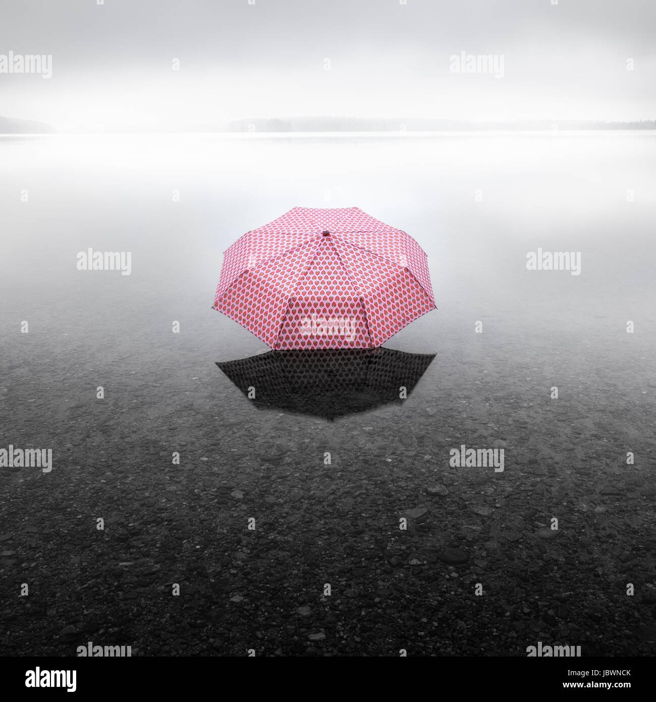Pinky umbrella middle of the lake. This picture describes global warming. Stock Photo