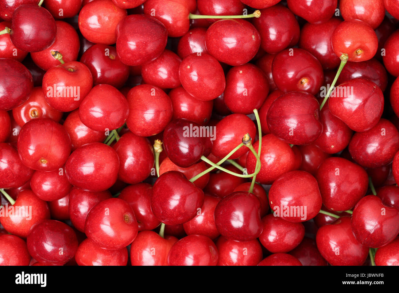 Rote reife Kirschen bilden einen Hintergrund im Sommer Stock Photo