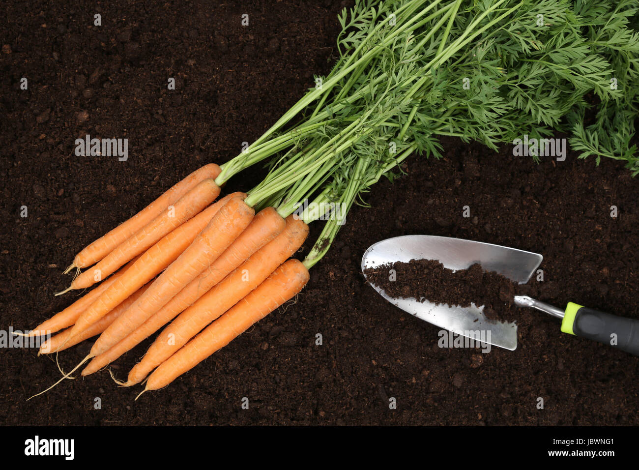Gesunde Erde High Resolution Stock Photography and Images - Alamy