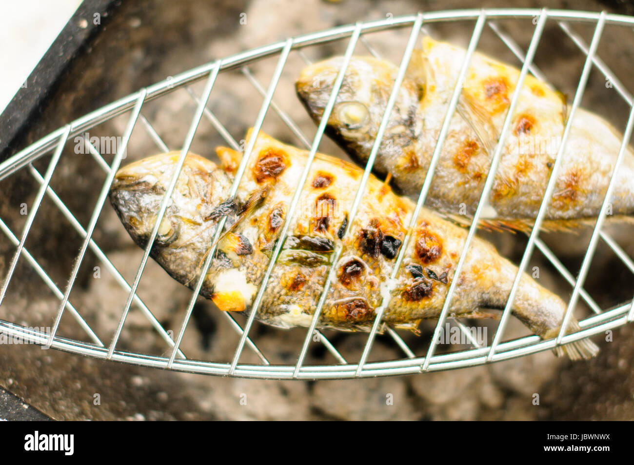 Eine frische Dorade mit Kräutern liegt auf einem Fisch-Halter  (Fischgriller) auf dem Grill Stock Photo - Alamy
