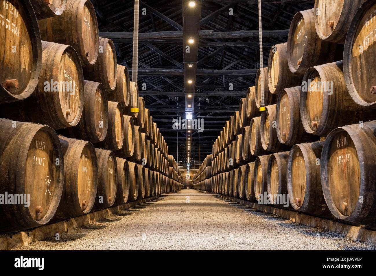 Barrels of Taylor's cellar in Porto, Portugal Stock Photo Alamy