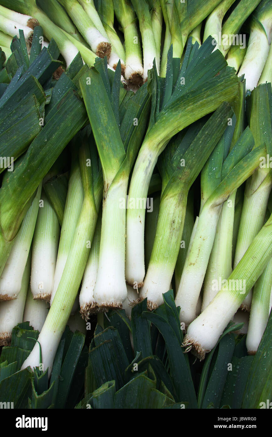 Rows and Piles of Green and white Leeks at the farmers market Stock ...
