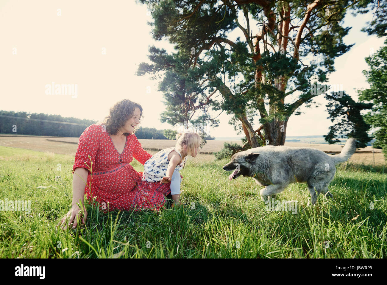 Pregnant woman sitting in field with toddler daughter playing with dog Stock Photo