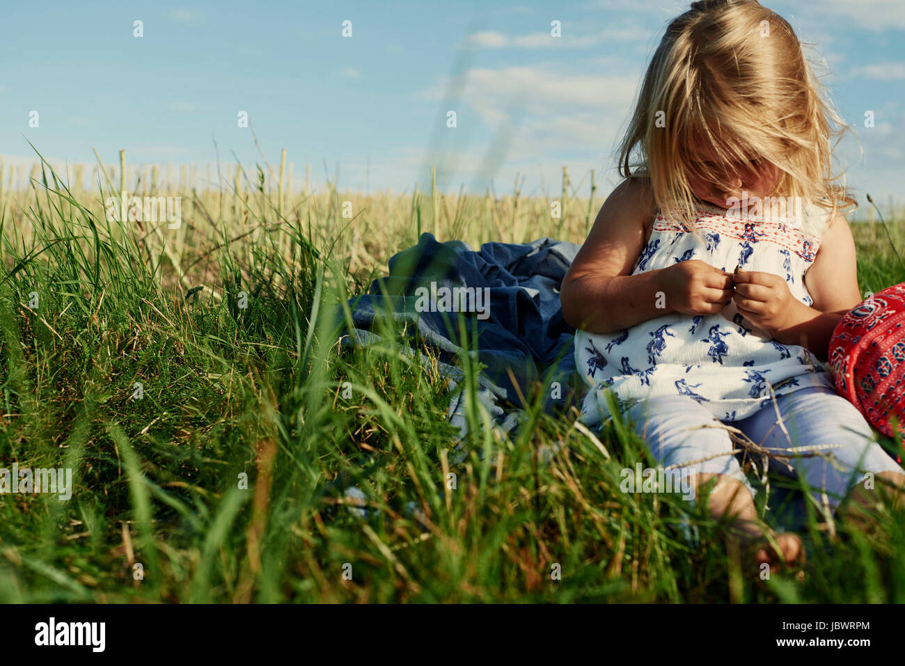 Female toddler sitting in field Stock Photo