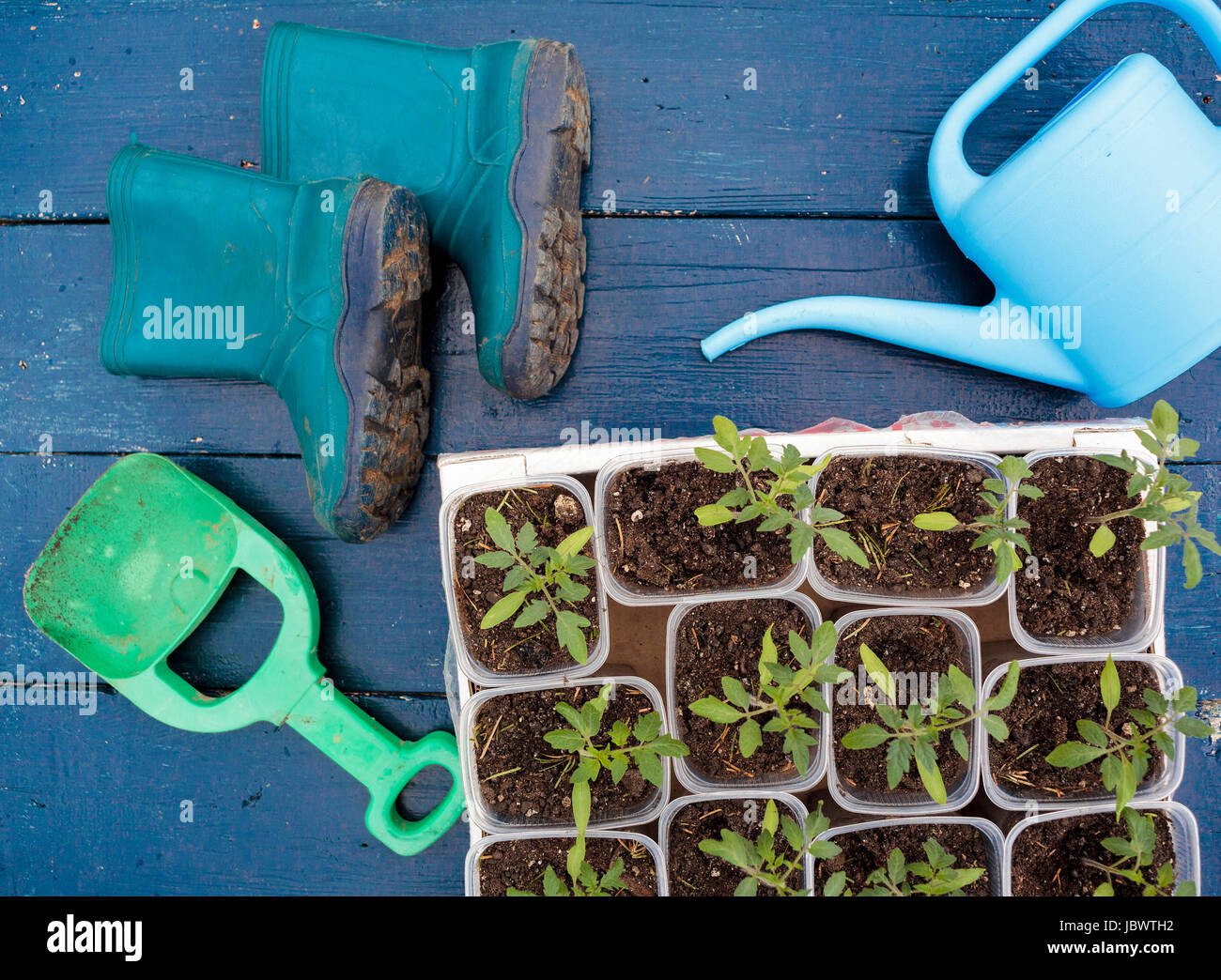 Seedling with wellington boots and watering can Stock Photo - Alamy