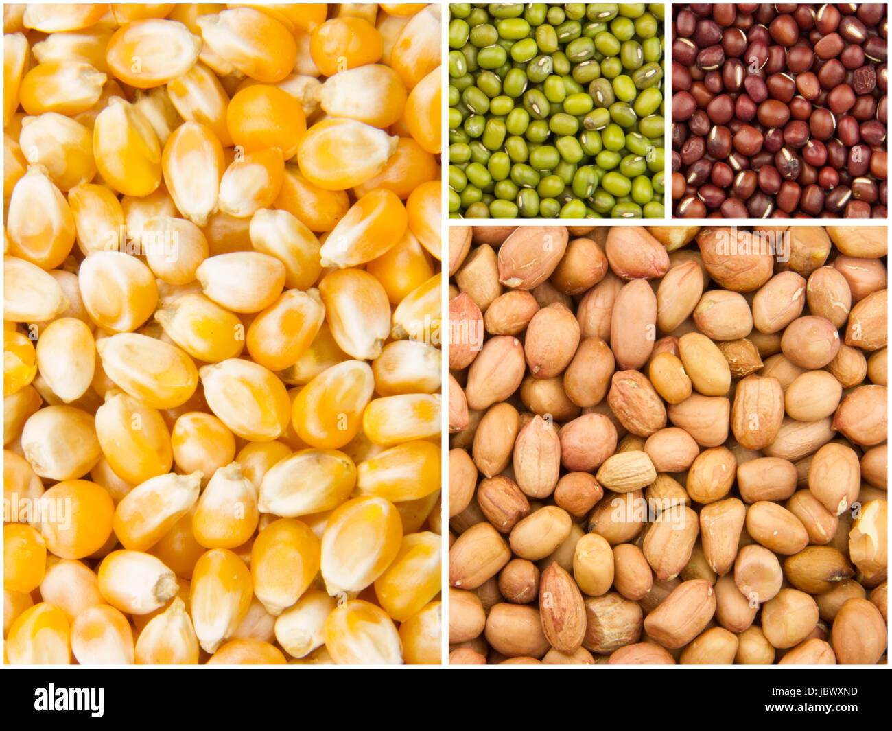 background of many kinds of different grains Stock Photo Alamy