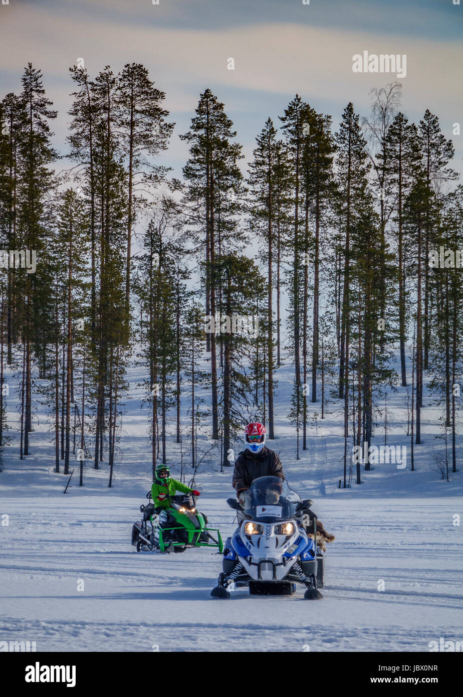 Snowmobiling, Kangos, Lapland, Sweden Stock Photo