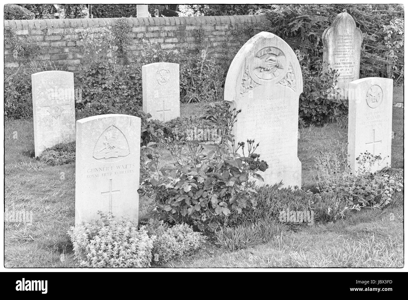 Military graves in churchyard at Lady St Mary Church Wareham, Dorset in June Stock Photo