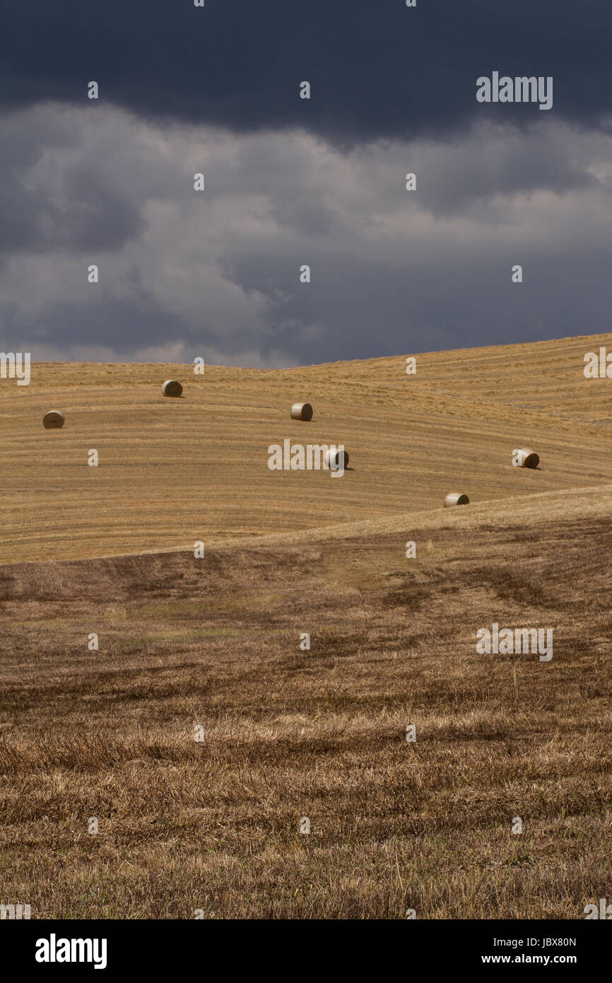 Six Bales- A dreamy landscape of blue, cloud filled skies and rolling, sunlit barley fields. Six bales of straw lay atop the freshly cut fields.nature Stock Photo