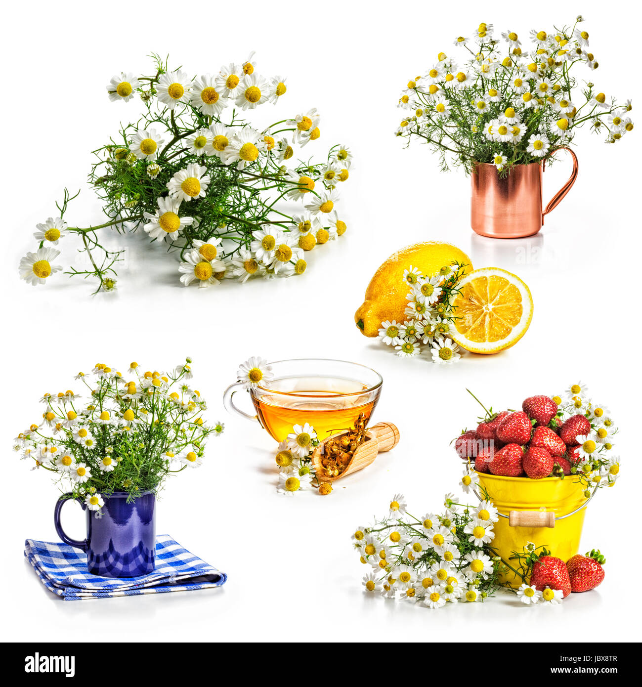 Chamomile flowers and herbal tea collection isolated on white ...