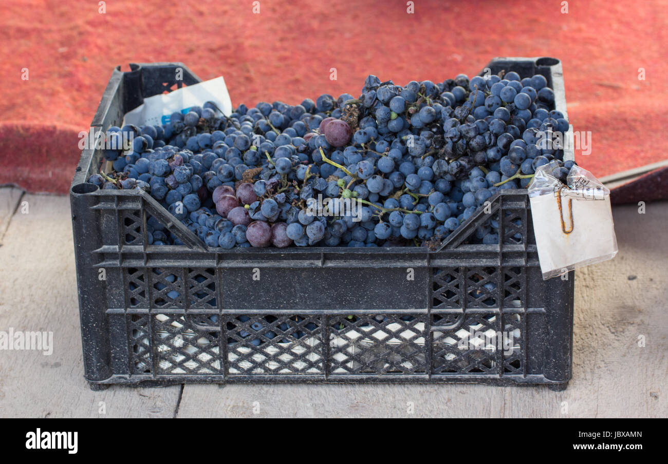 black plastic box full of blue grapes at the marketplace Stock Photo ...