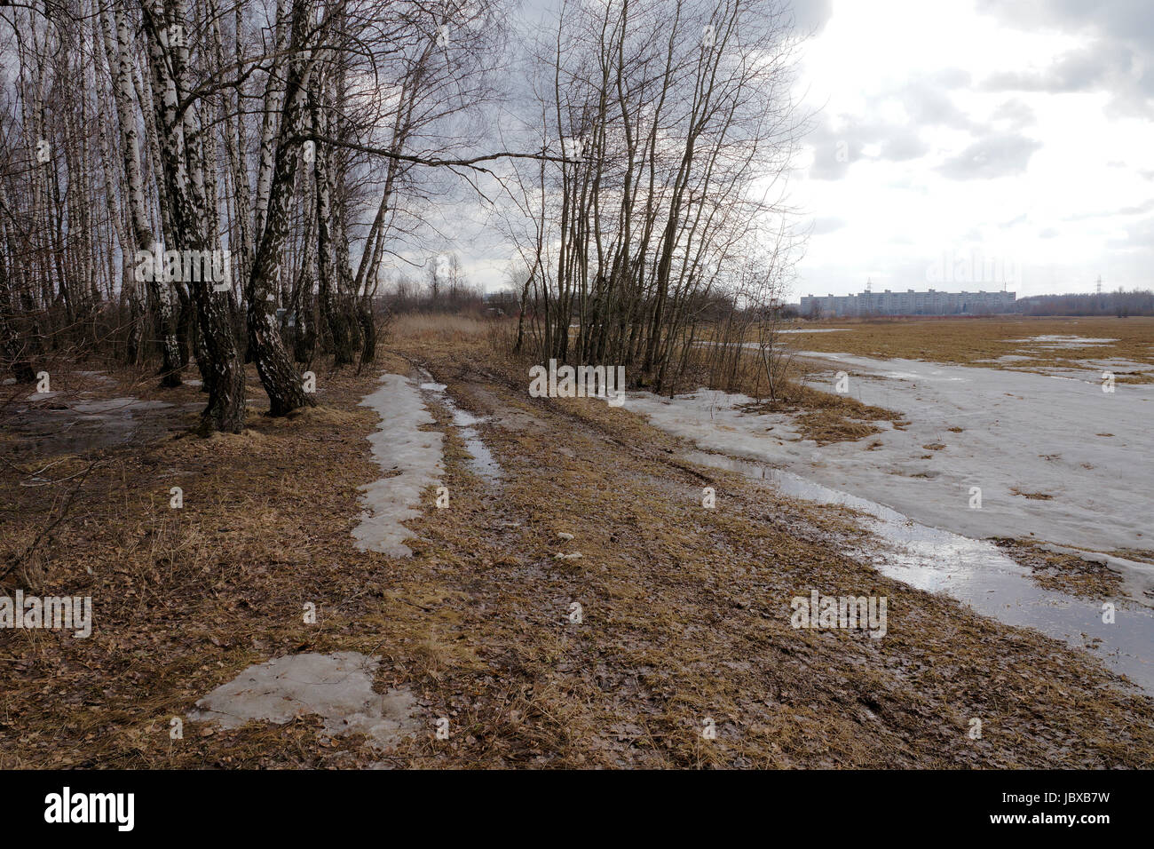 Spring landscape. Moscow region, Russia. Spring, snow, field, grass ...