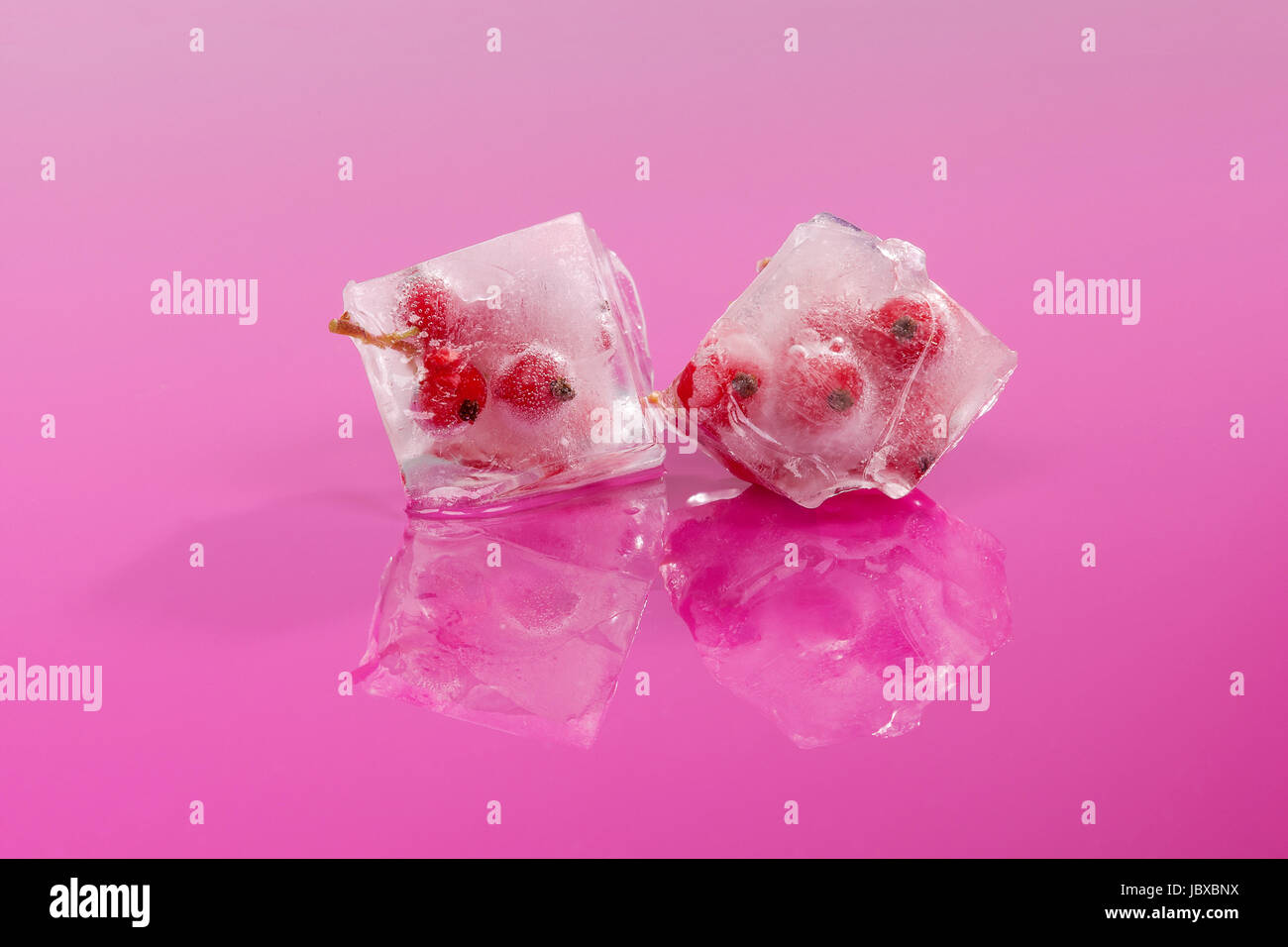 Frozen fruit in ice cubes isolated on pink background with reflection