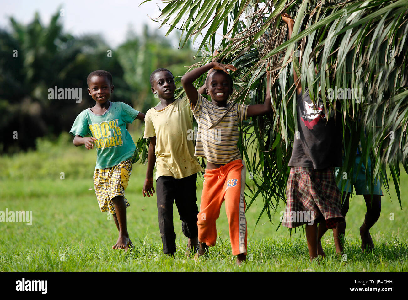 African kids help with carring palm leaves out of the jungle Stock Photo