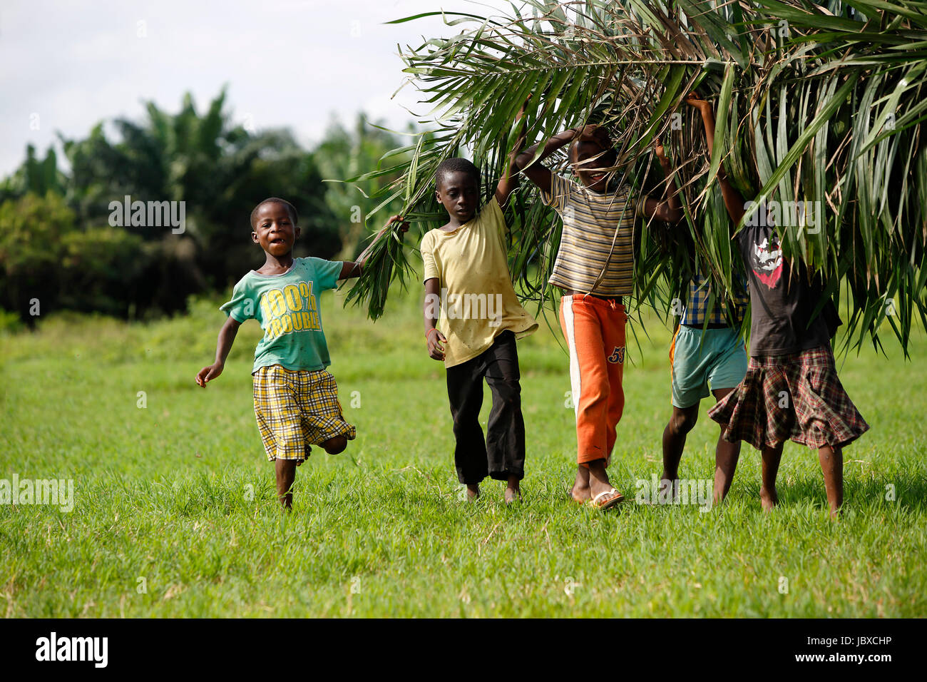 African kids help with carring palm leaves out of the jungle Stock Photo