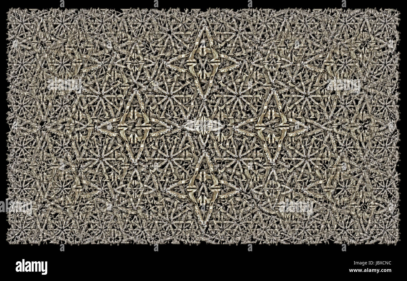 Digital composite of my photographs of the jaw bone of a small mammal