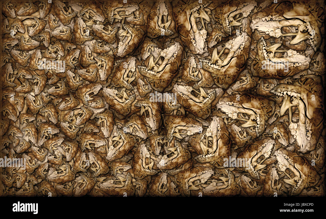 Digital composite of my photographs of the jaw bone of a small mammal