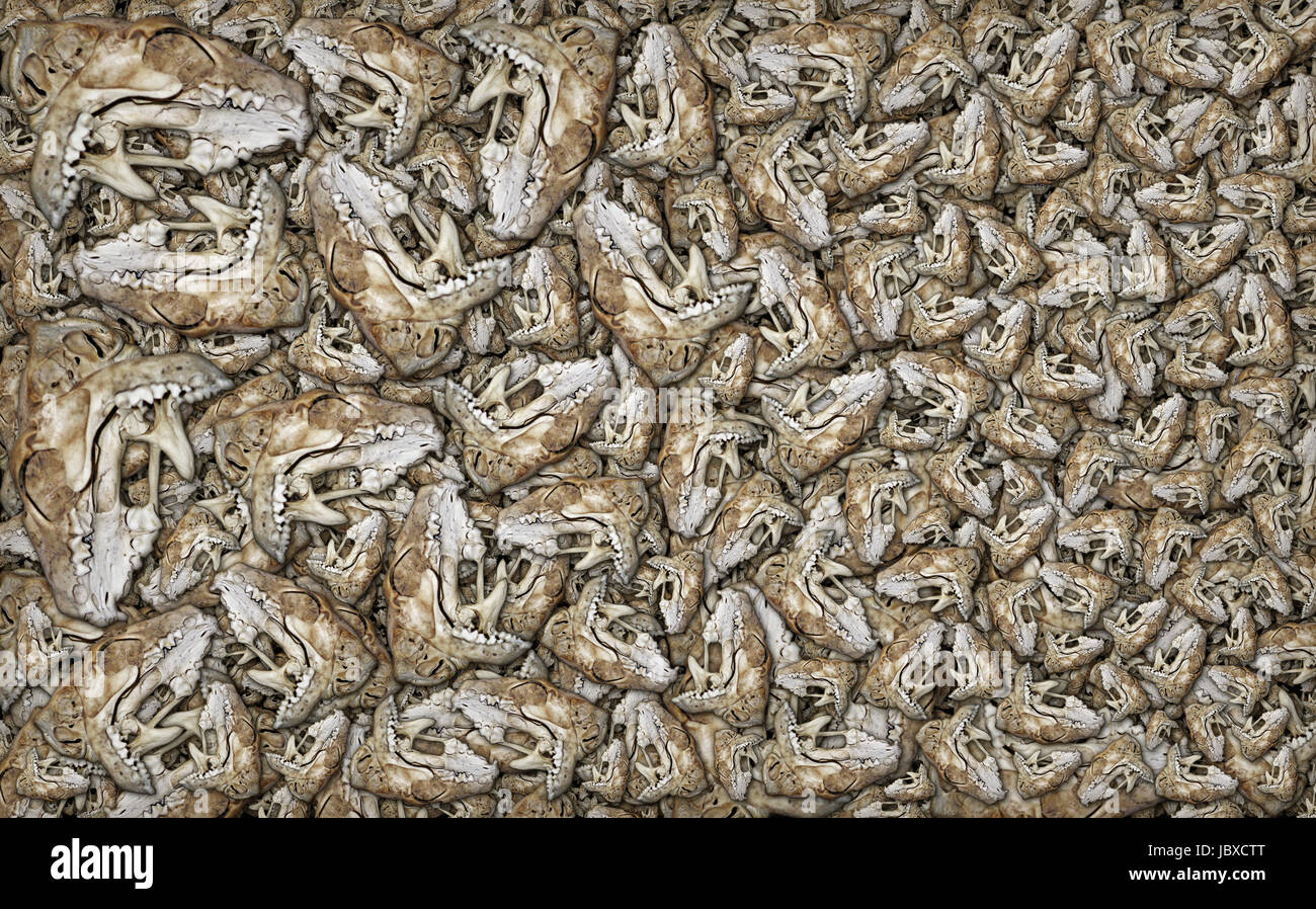 Digital composite using the jaw bone of a small mammal Stock Photo Alamy